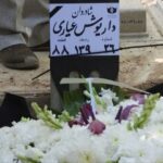 داریوش آرام آمد، بی‌ادعا خلق کرد و در سکوت رفت/ محمود کلاری و رسول صدرعاملی از «داریوش عیاری» گفتند