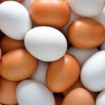 سرانه مصرف تخم مرغ در کشور ۱۵ کیلو است/ ظرفیت تولید سالانه ۲.۷ میلیون تن تخم‌مرغ در کشور وجود دارد