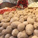 سیب زمینی چرا ارزان نشد؟