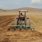 عبور کشت دیم خراسان‌شمالی از مرز ۱۴۲ هزار هکتار