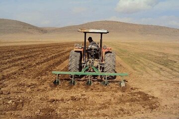 عبور کشت دیم خراسان‌شمالی از مرز ۱۴۲ هزار هکتار