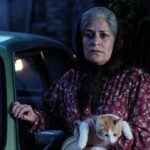 «فصل شیرین» آماده نمایش شد