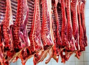 واکنش کاربران به ماجرای عرضه گوشت الاغ و اسب / نظارت را جدی بگیرید