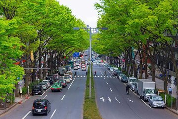 ژاپنی‌ها چه خودرویی سوار می‌شوند؟/ جای این خودروی لوکس در  خیابان‌های ژاپن خالی است