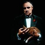 گربه‌ای که در «پدرخوانده» بازیگر شد؛ حضور اتفاقی یک گربه در آغوش مارلون براندو